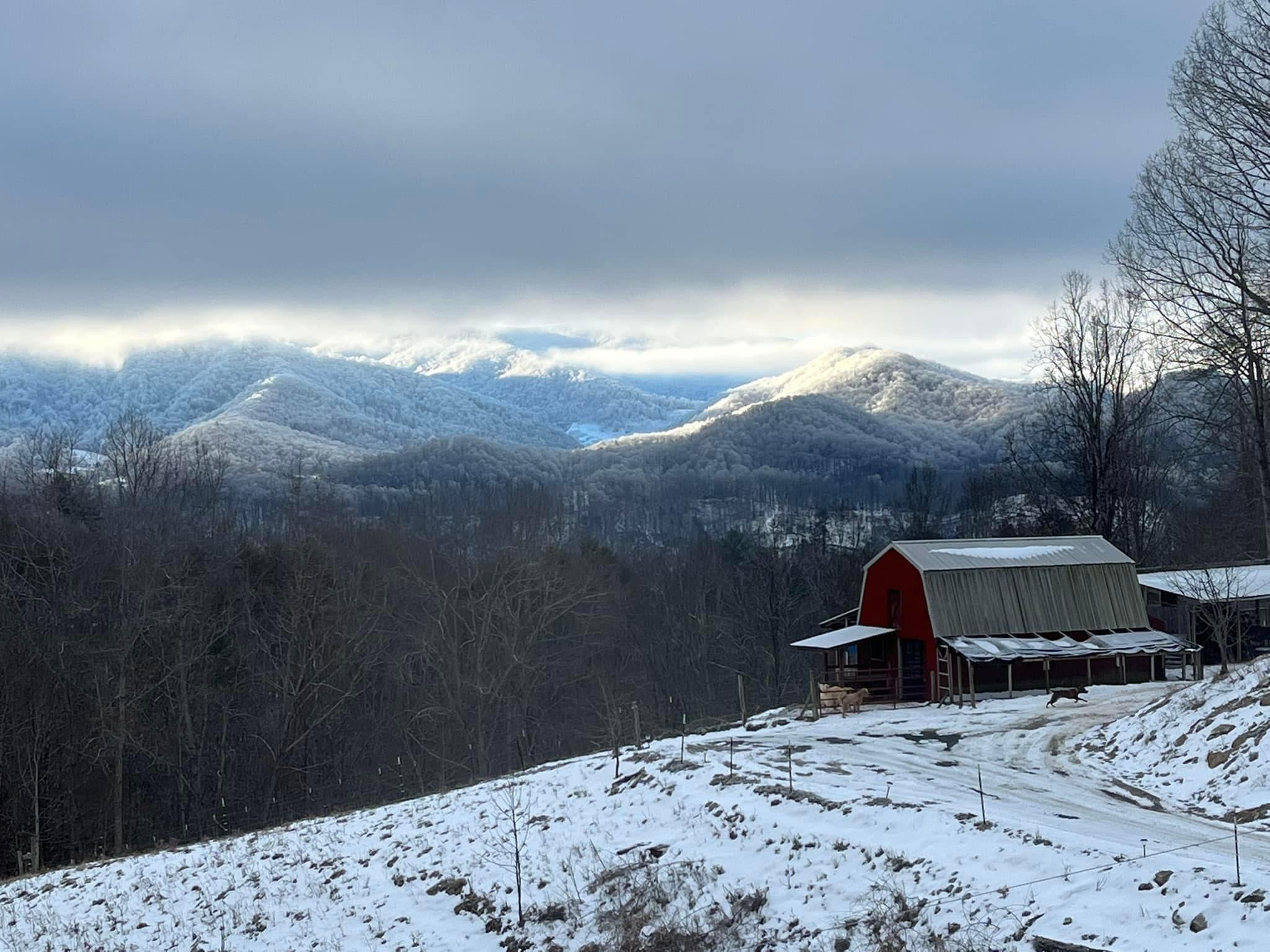 331 Buck Mountain Road Roan Mountain, TN 37687 - Photo 37 of 57 331 Buck Mountain Road Pic 5