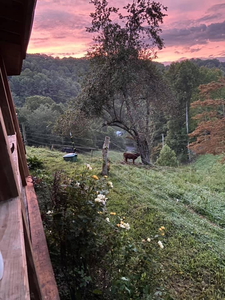 331 Buck Mountain Road Roan Mountain, TN 37687 - Photo 39 of 57 331 Buck Mountain Road Pic 2