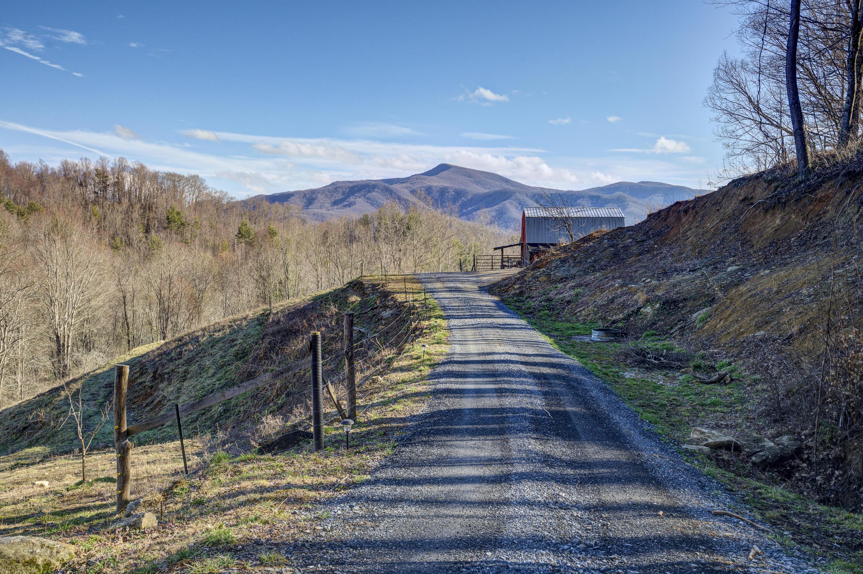 331 Buck Mountain Road Roan Mountain, TN 37687 - Photo 40 of 57 Buck-Land--35
