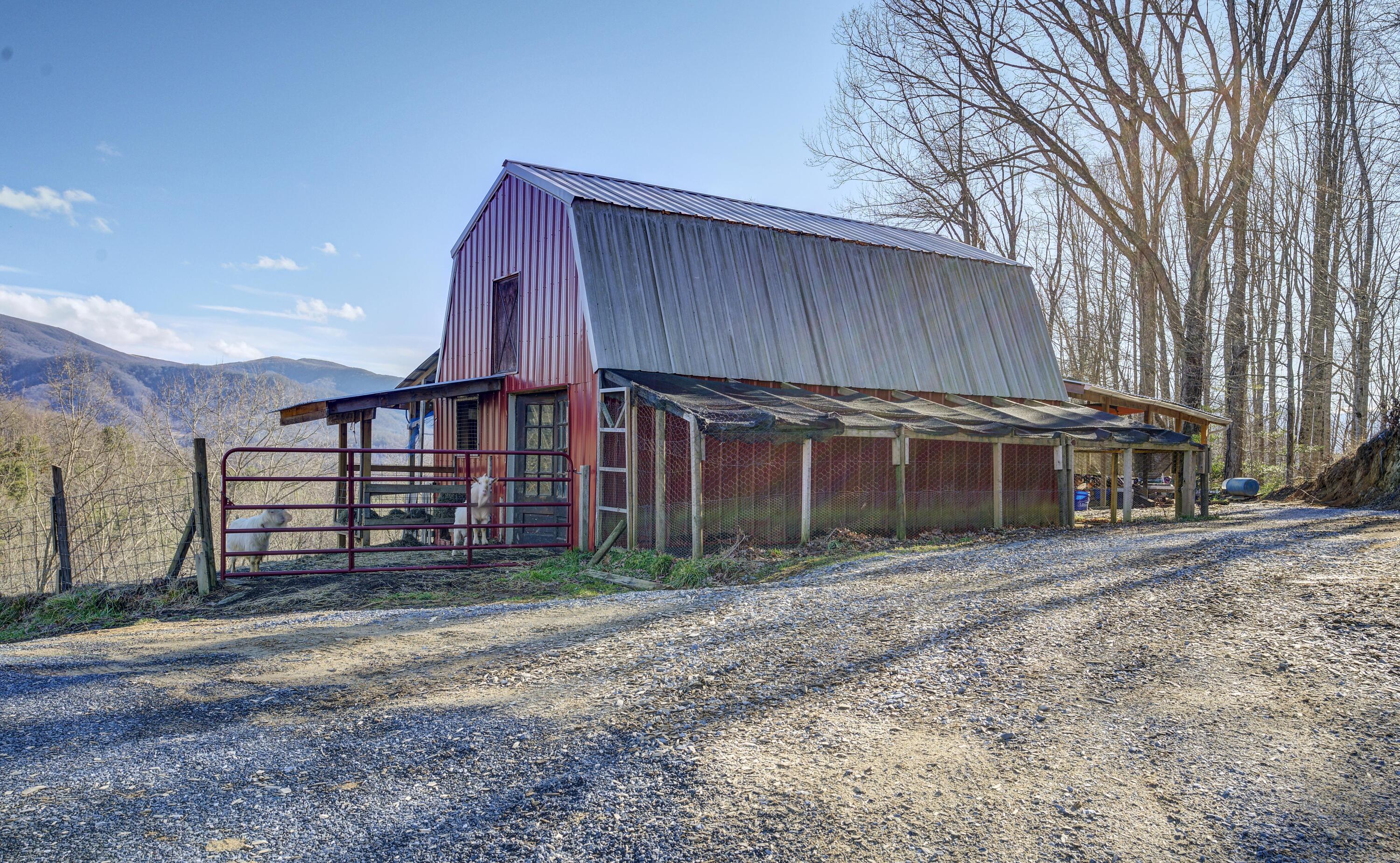 331 Buck Mountain Road Roan Mountain, TN 37687 - Photo 41 of 57 Buck-Land--37