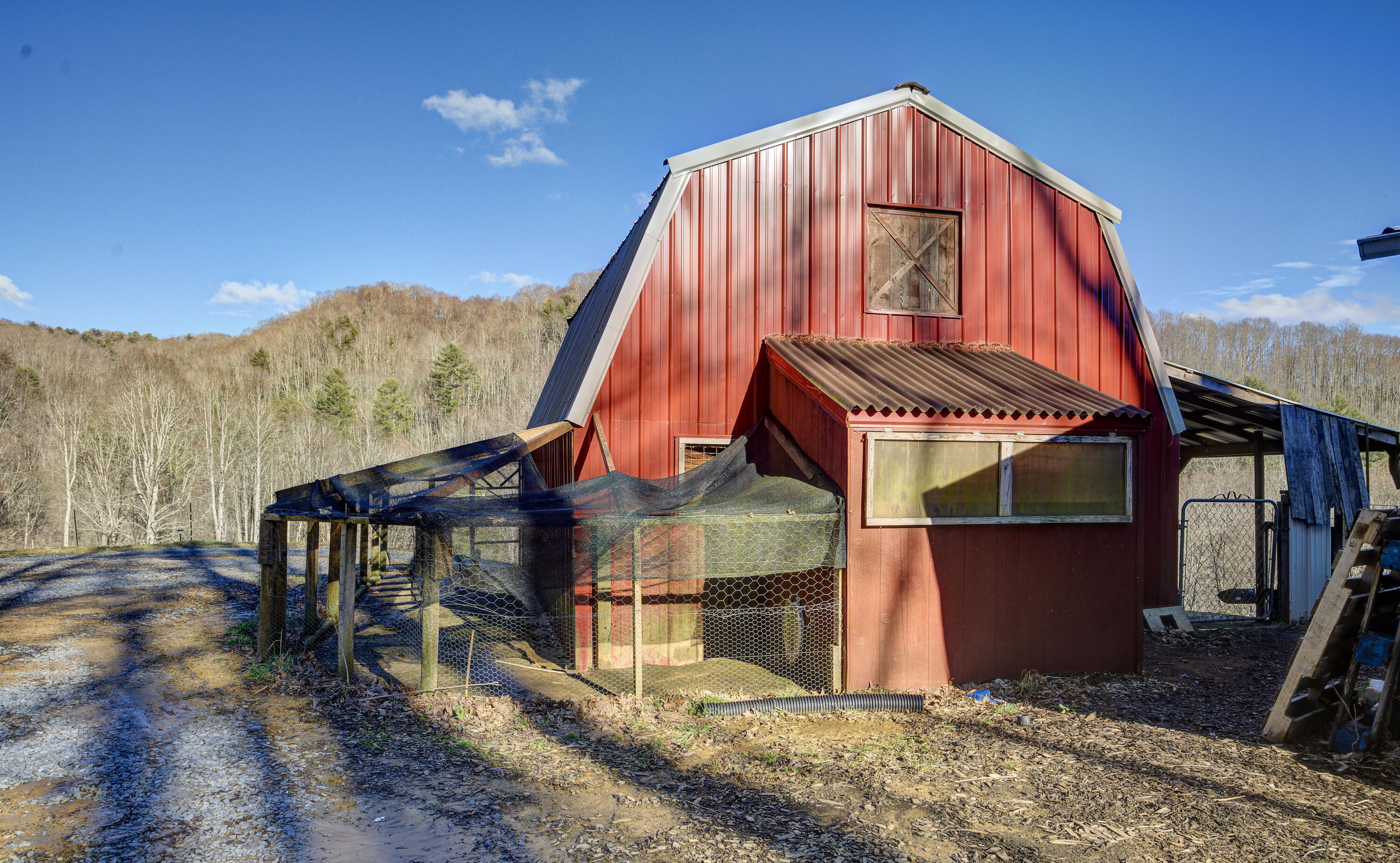 331 Buck Mountain Road Roan Mountain, TN 37687 - Photo 43 of 57 Buck-Land--39