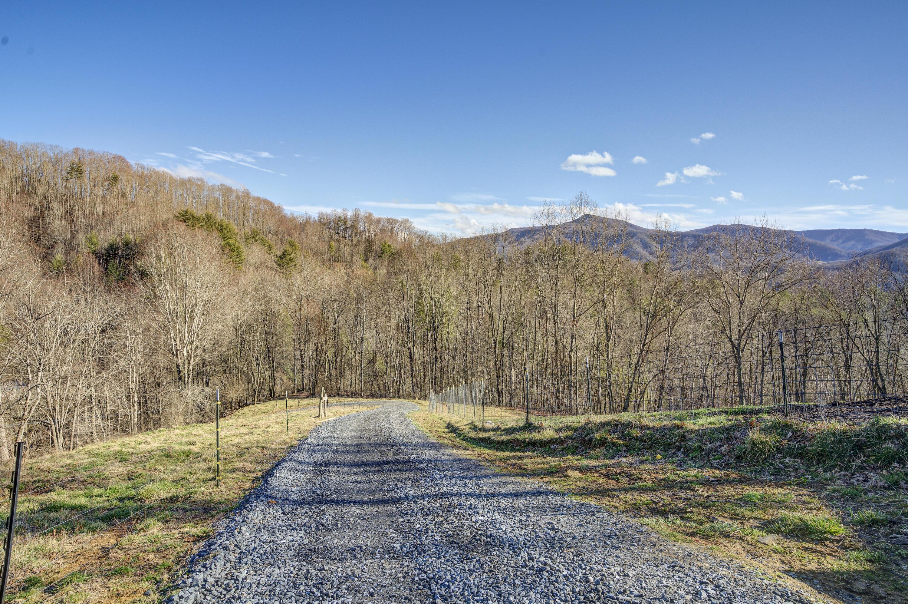 331 Buck Mountain Road Roan Mountain, TN 37687 - Photo 45 of 57 Buck-Land--41