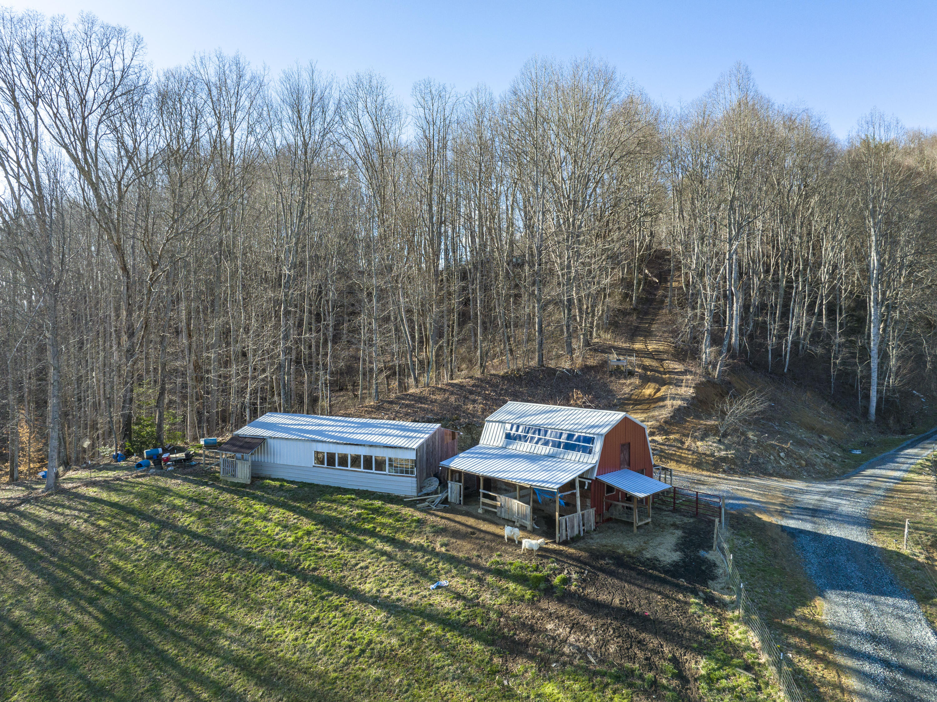 331 Buck Mountain Road Roan Mountain, TN 37687 - Photo 49 of 57 BuckMtn-Aerials--5