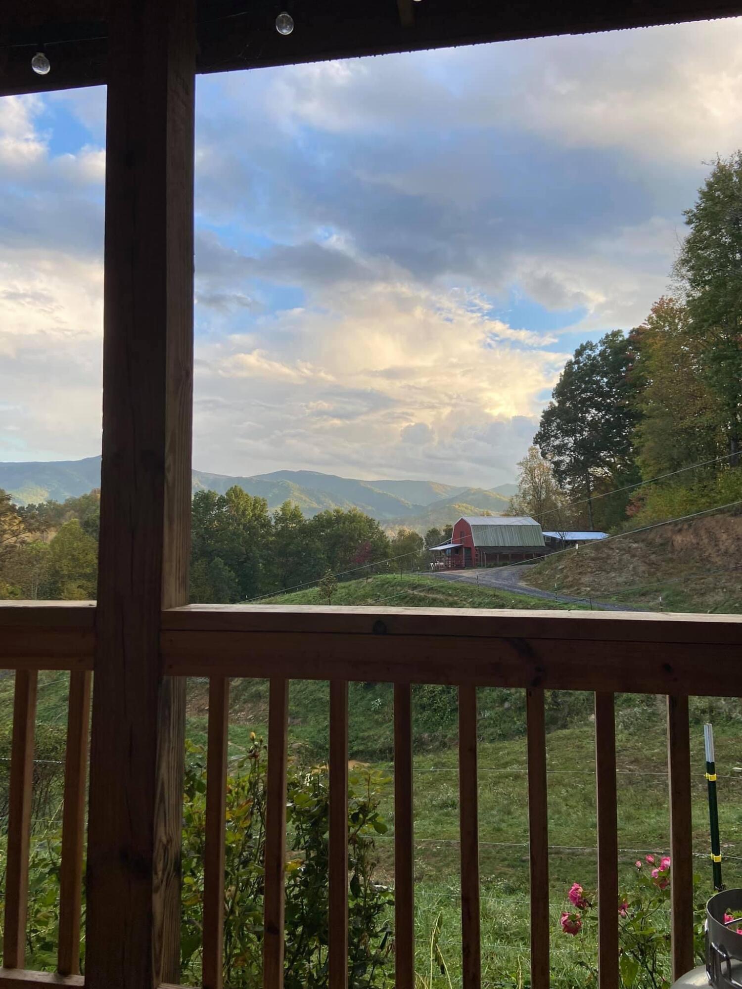 331 Buck Mountain Road Roan Mountain, TN 37687 - Photo 5 of 57 331 Buck Mountain Road Pic 3