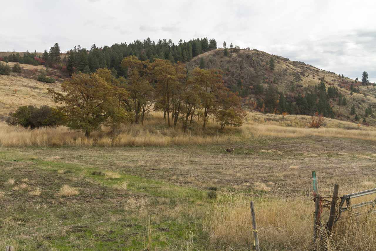 3100-block Miles Road, Unit PARCEL B Rice, WA 99167 - Photo 3 of 13
