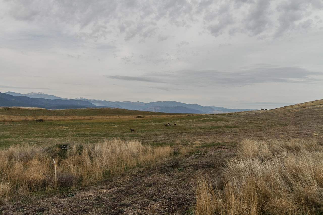 3100-block Miles Road, Unit PARCEL B Rice, WA 99167 - Photo 7 of 13