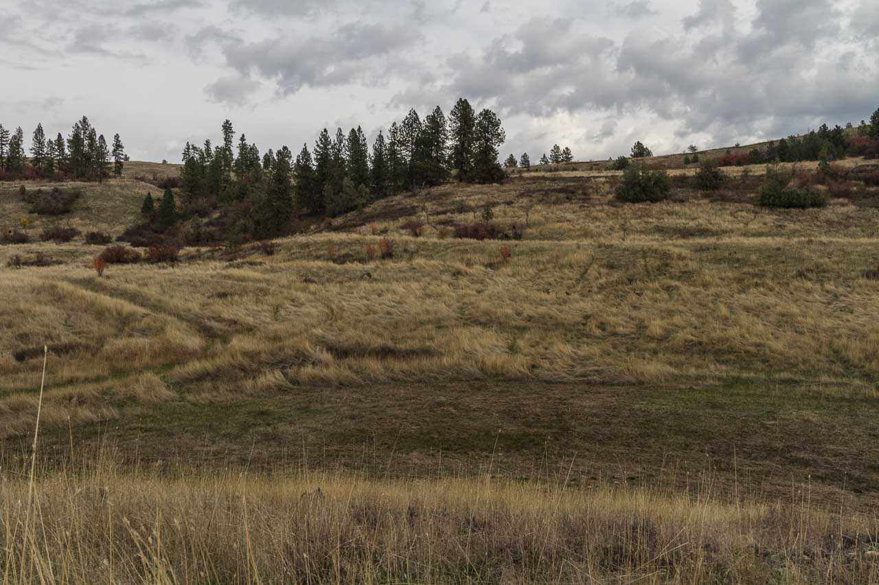 3100-block Miles Road, Unit PARCEL B Rice, WA 99167 - Photo 8 of 13