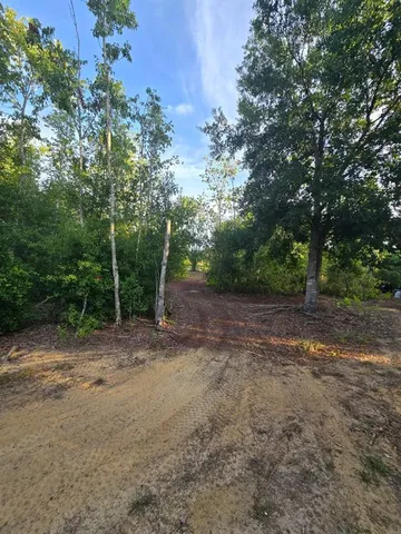 a view of outdoor space with trees