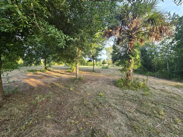 a view of dirt yard with a tree