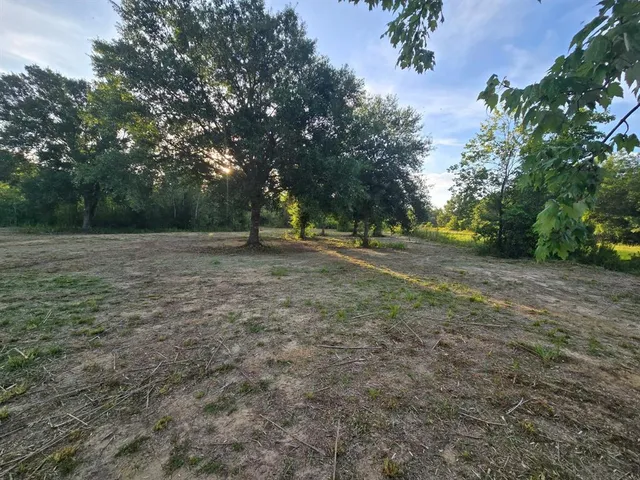 a view of outdoor space with trees
