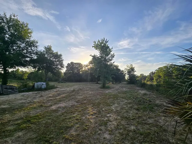 a view of an outdoor space with trees