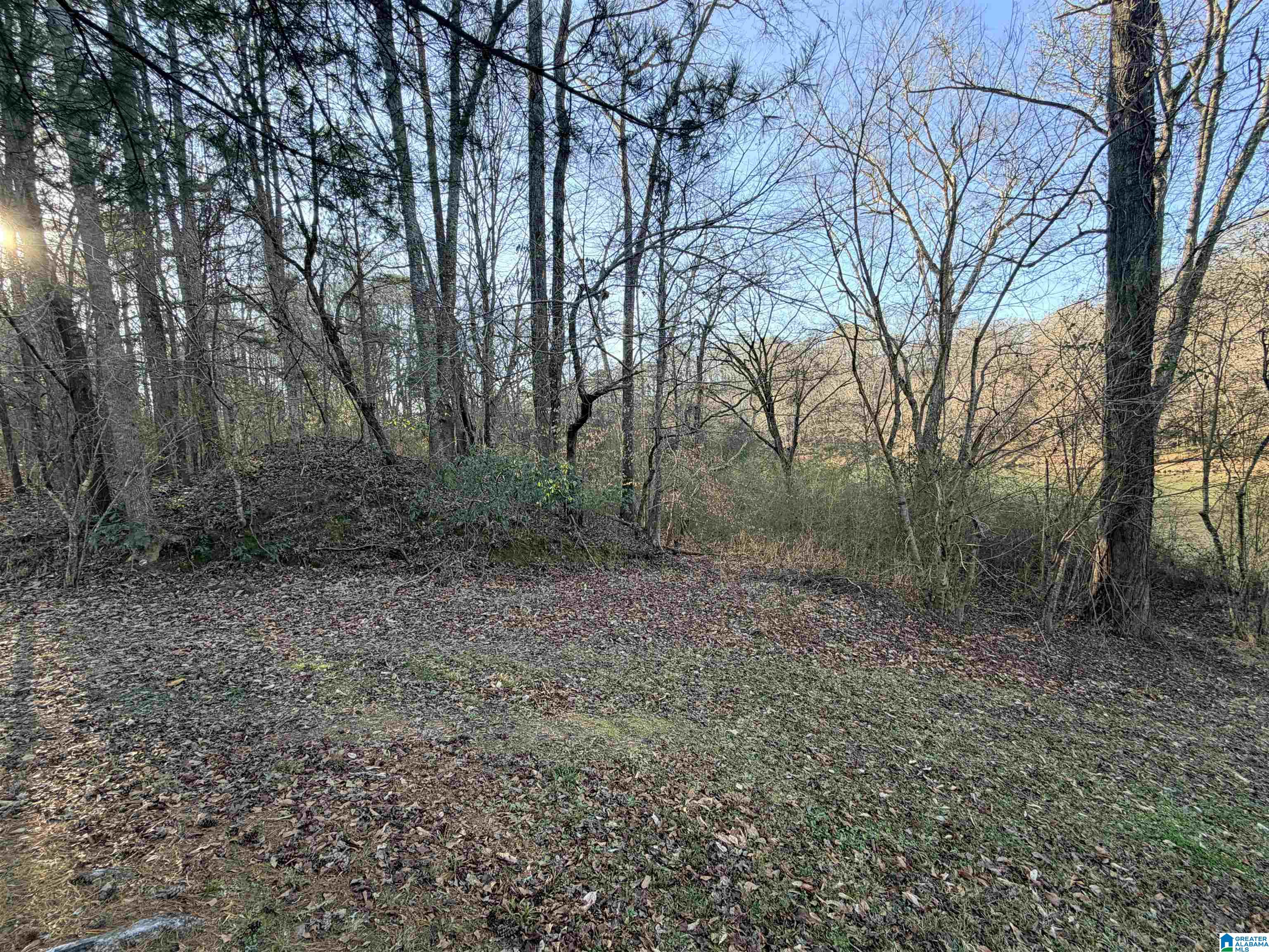 2 Scott Road Cordova, AL 35550 - Photo 8 of 8