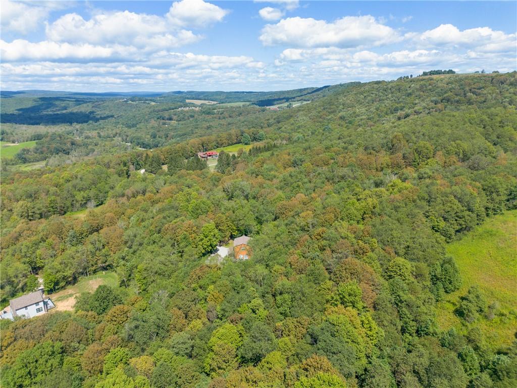146 Luna Way Markleton, PA 15551 - Photo 49 of 50 a view of a field with an ocean and trees