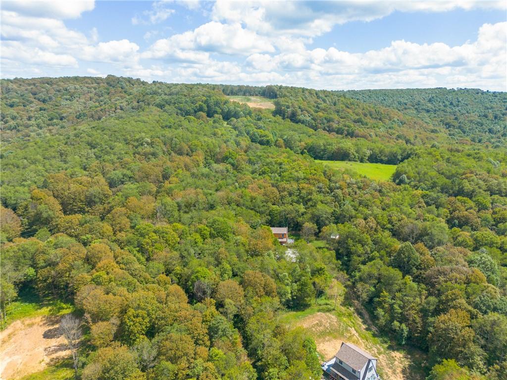 146 Luna Way Markleton, PA 15551 - Photo 50 of 50 a view of a green field with lots of bushes