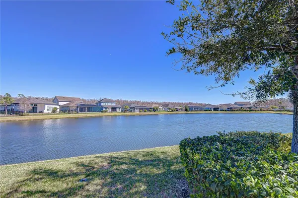 a backyard of a house with plants and large tree