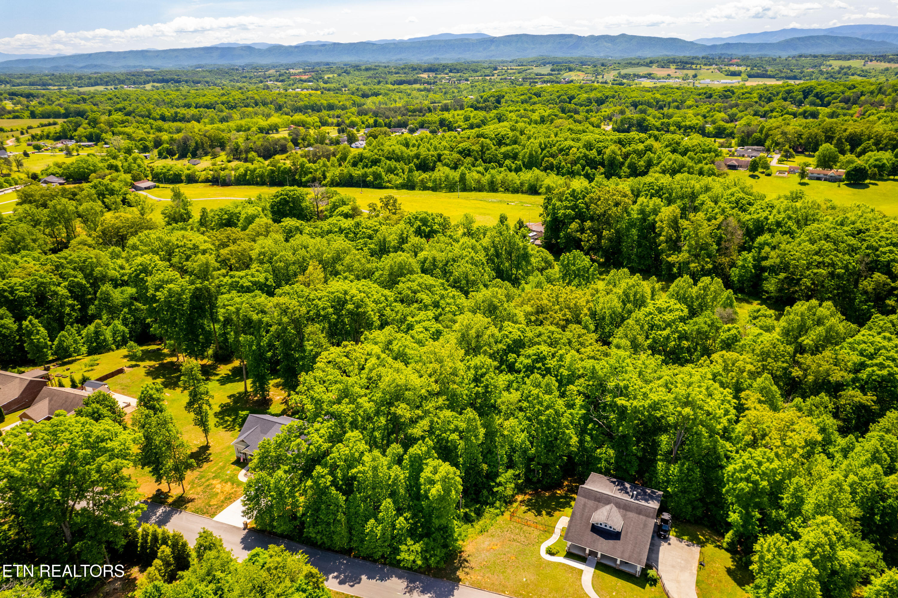 1055 Houston Springs Road Greenback, TN 37742 - Photo 6 of 21 1055HoustonSpringsRd-4