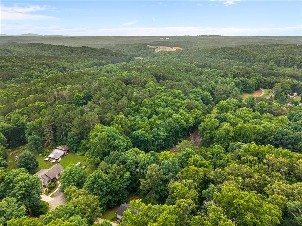 0 Flatbottom Road Ball Ground, GA 30107 - Photo 9 of 11