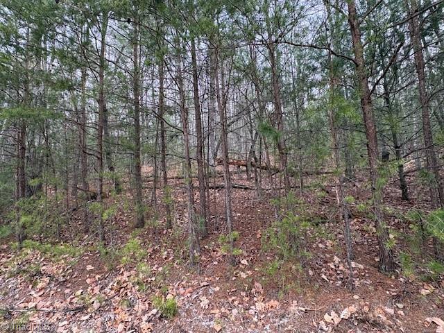 Tbd Sutter's Ridge Road McGrady, NC 28649 - Photo 11 of 20