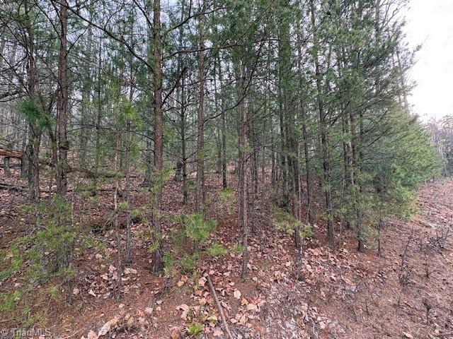 Tbd Sutter's Ridge Road McGrady, NC 28649 - Photo 12 of 20