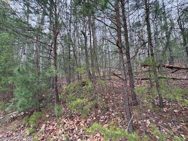 Tbd Sutter's Ridge Road McGrady, NC 28649 - Photo 13 of 20