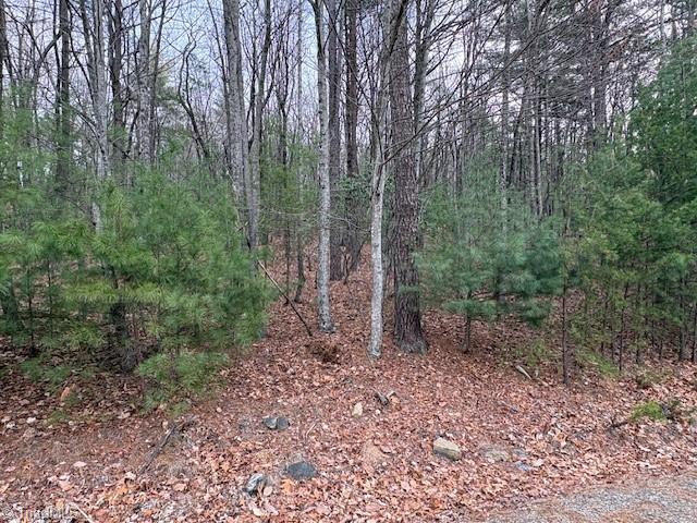 Tbd Sutter's Ridge Road McGrady, NC 28649 - Photo 14 of 20