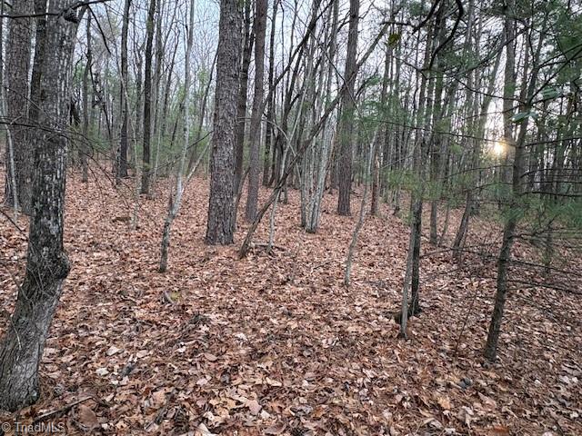 Tbd Sutter's Ridge Road McGrady, NC 28649 - Photo 15 of 20