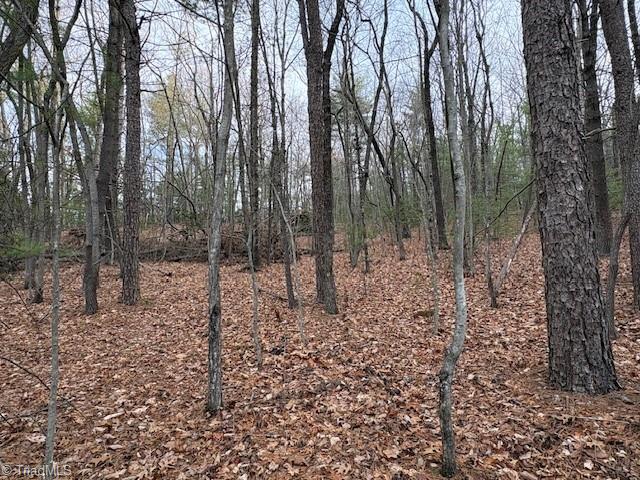 Tbd Sutter's Ridge Road McGrady, NC 28649 - Photo 16 of 20
