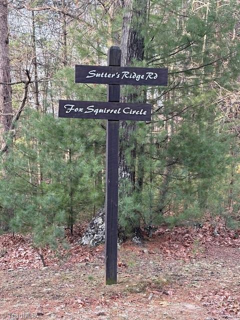 Tbd Sutter's Ridge Road McGrady, NC 28649 - Photo 17 of 20