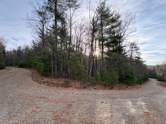 Tbd Sutter's Ridge Road McGrady, NC 28649 - Photo 18 of 20