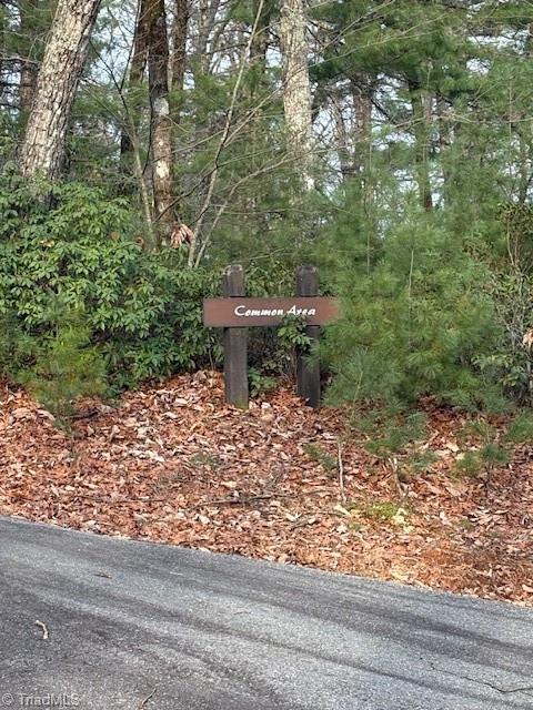 Tbd Sutter's Ridge Road McGrady, NC 28649 - Photo 19 of 20 Common Area