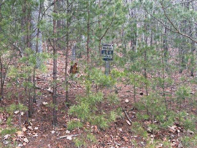 Tbd Sutter's Ridge Road McGrady, NC 28649 - Photo 5 of 20