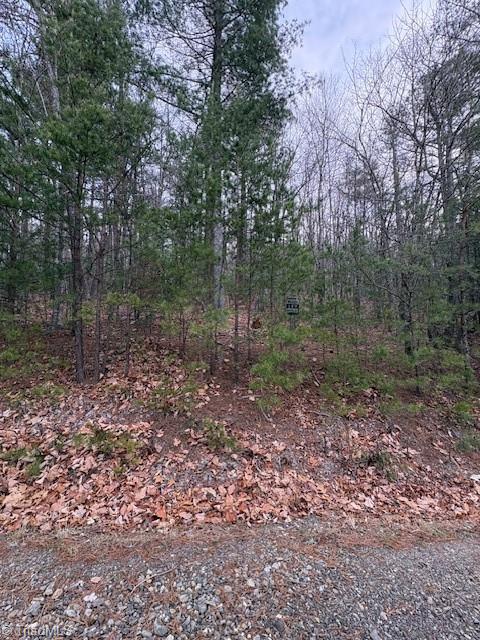 Tbd Sutter's Ridge Road McGrady, NC 28649 - Photo 6 of 20