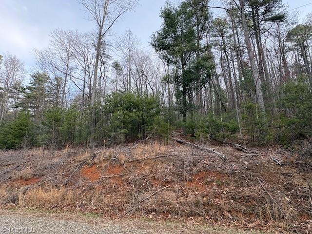 Tbd Sutter's Ridge Road McGrady, NC 28649 - Photo 7 of 20