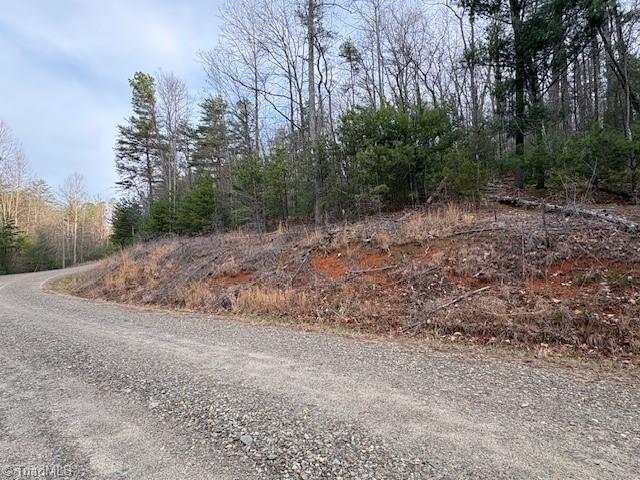 Tbd Sutter's Ridge Road McGrady, NC 28649 - Photo 8 of 20