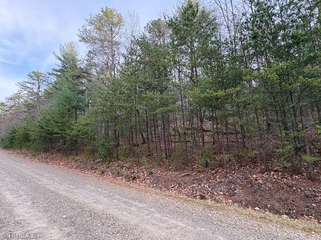Tbd Sutter's Ridge Road McGrady, NC 28649 - Photo 9 of 20