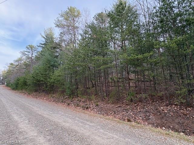 Tbd Sutter's Ridge Road McGrady, NC 28649 - Photo 10 of 20