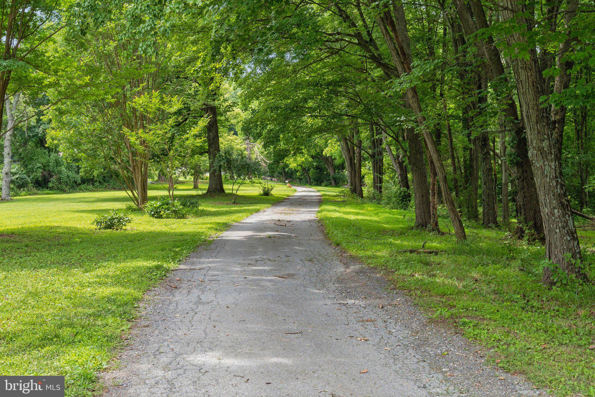 8953 Gue Road Damascus, MD 20872 - Photo 4 of 54 Driveway
