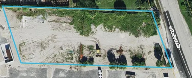 a view of a garden with a tree in it