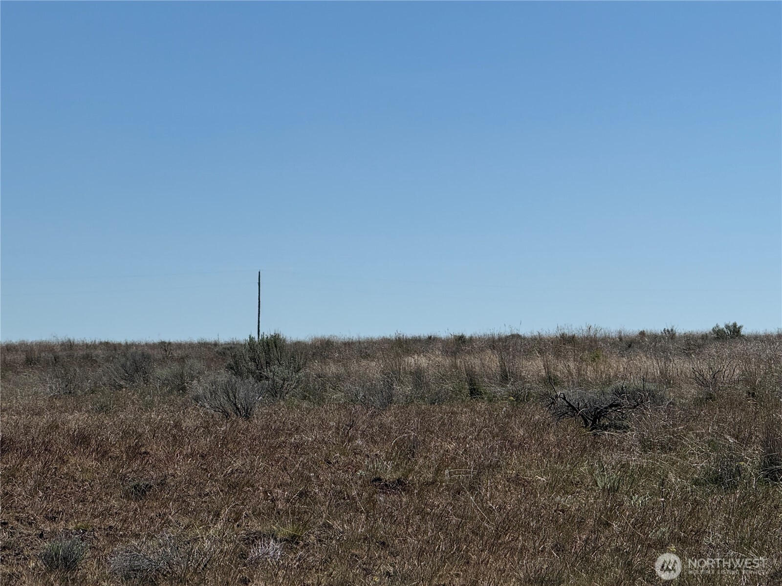 0 Black Rock Road North Odessa, WA 99159 - Photo 11 of 18 a view of a dry field with trees in the background