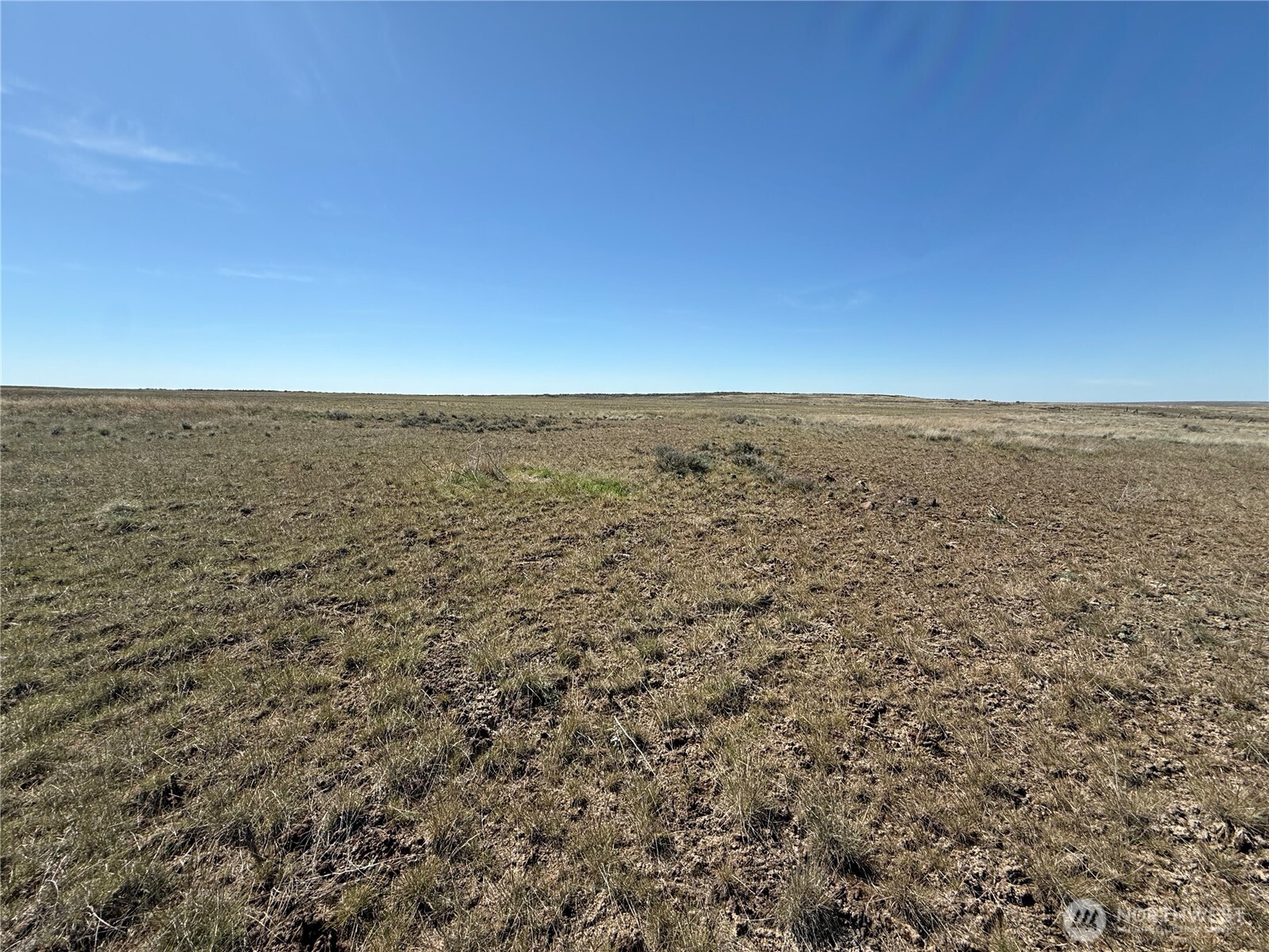 0 Black Rock Road North Odessa, WA 99159 - Photo 4 of 18