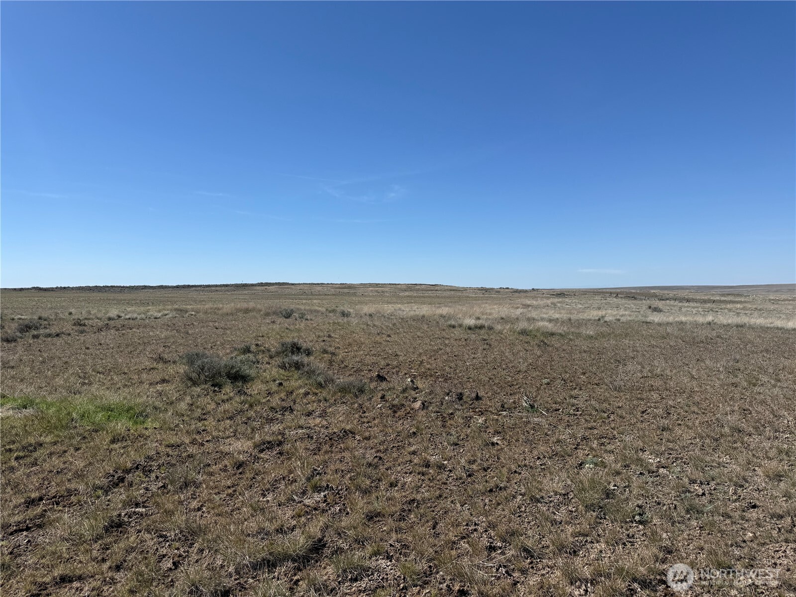 0 Black Rock Road North Odessa, WA 99159 - Photo 5 of 18