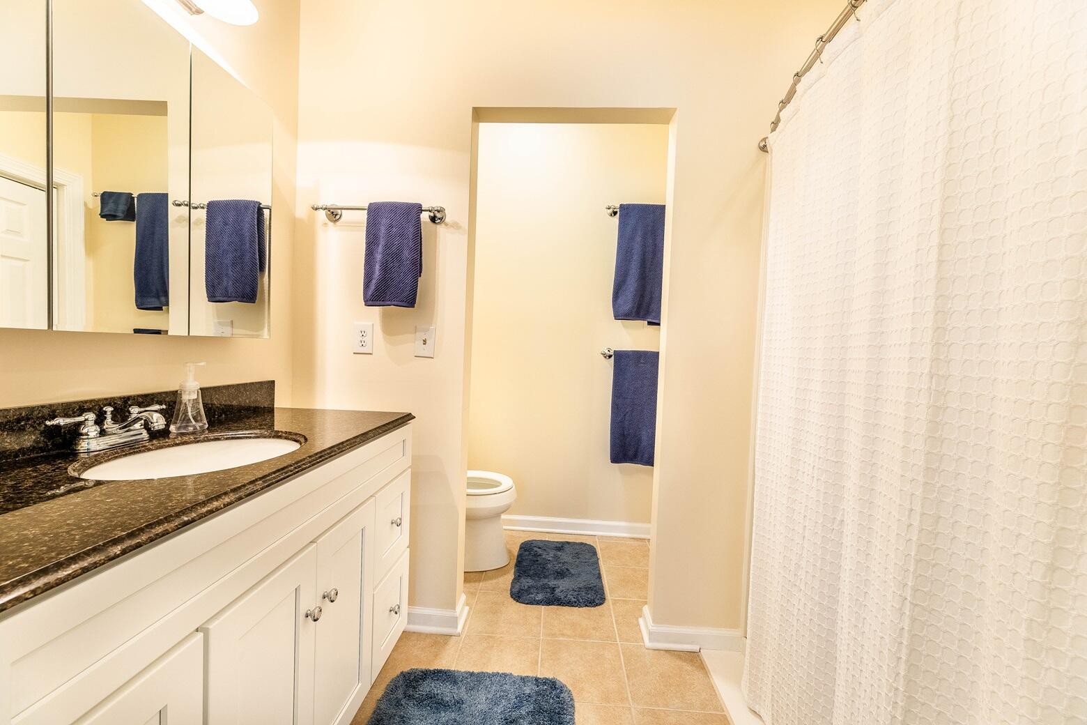 202 Trillium Court Santee, SC 29142 - Photo 20 of 36 Updated Master Bath with Step in Shower