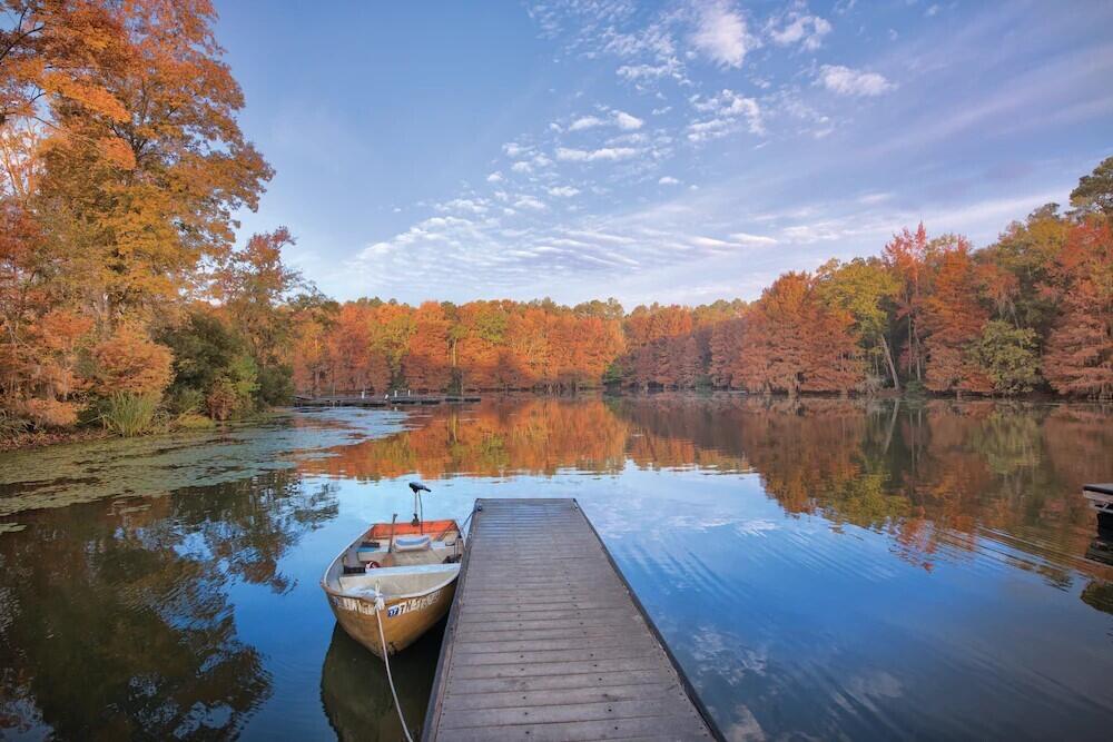 202 Trillium Court Santee, SC 29142 - Photo 28 of 36 Dock on Cove in the Fall
