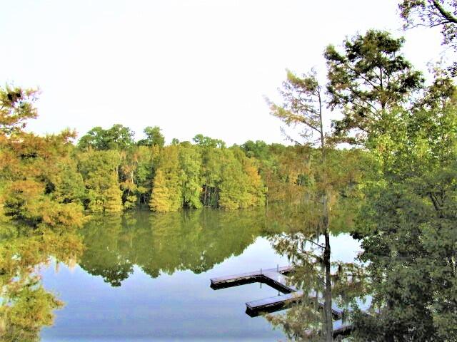202 Trillium Court Santee, SC 29142 - Photo 31 of 36 Santee State Park Across the Cove, II &