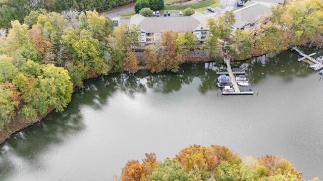 202 Trillium Court Santee, SC 29142 - Photo 34 of 36 Aerial view, Boat Slips