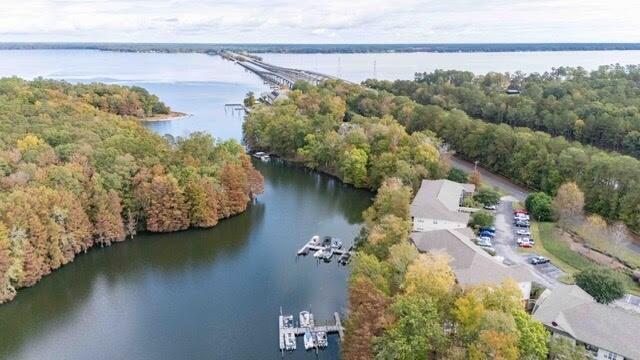 202 Trillium Court Santee, SC 29142 - Photo 35 of 36 Aerial view, Cove leading to Lake Marion
