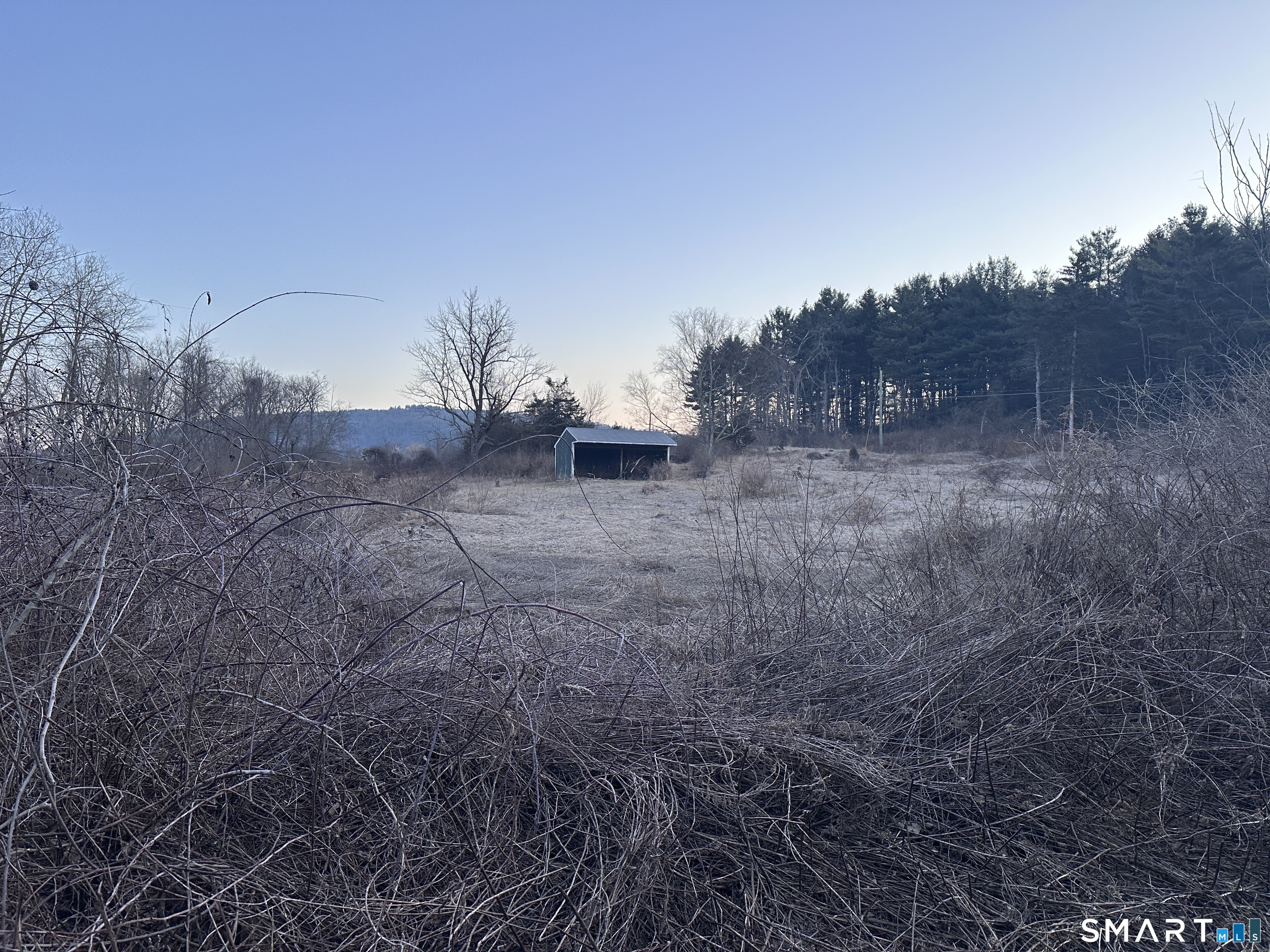 Millerton Road Sharon, CT 06069 - Photo 4 of 17 a view of a dry yard with trees
