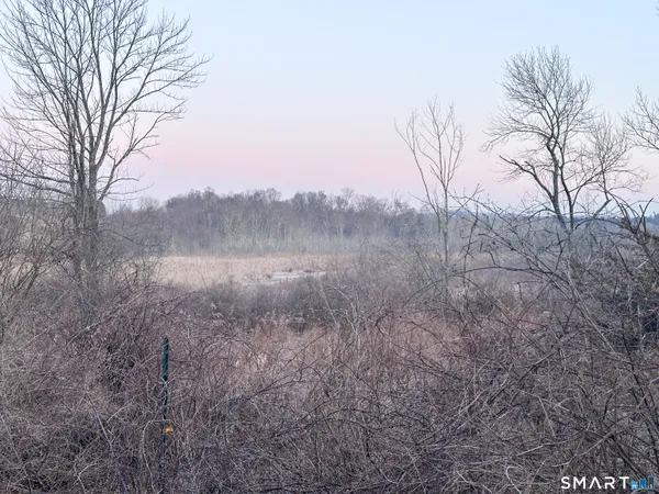 a view of a dry yard with trees