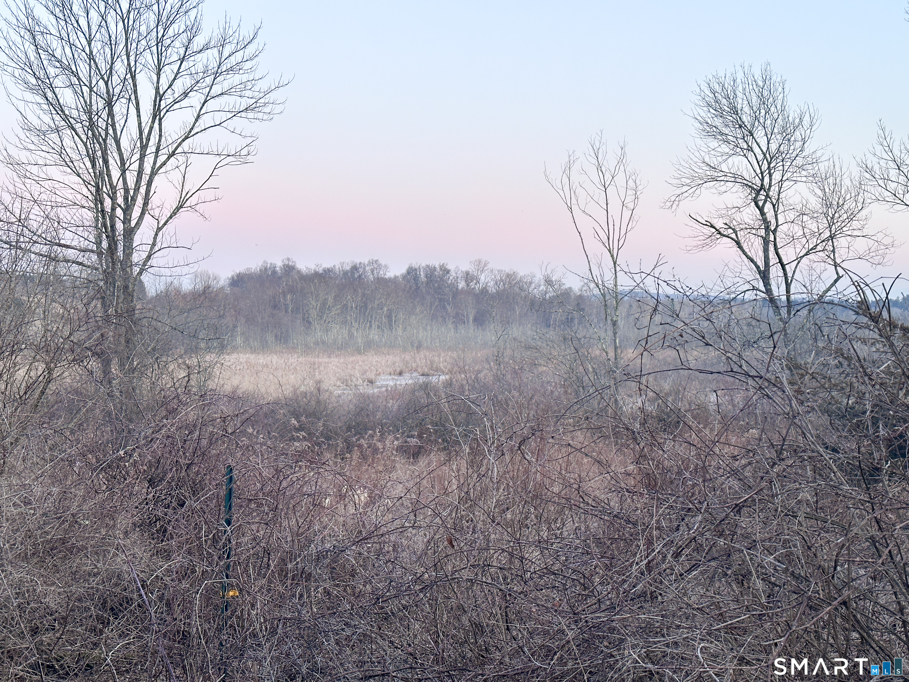Millerton Road Sharon, CT 06069 - Photo 5 of 17 a view of a dry yard with trees
