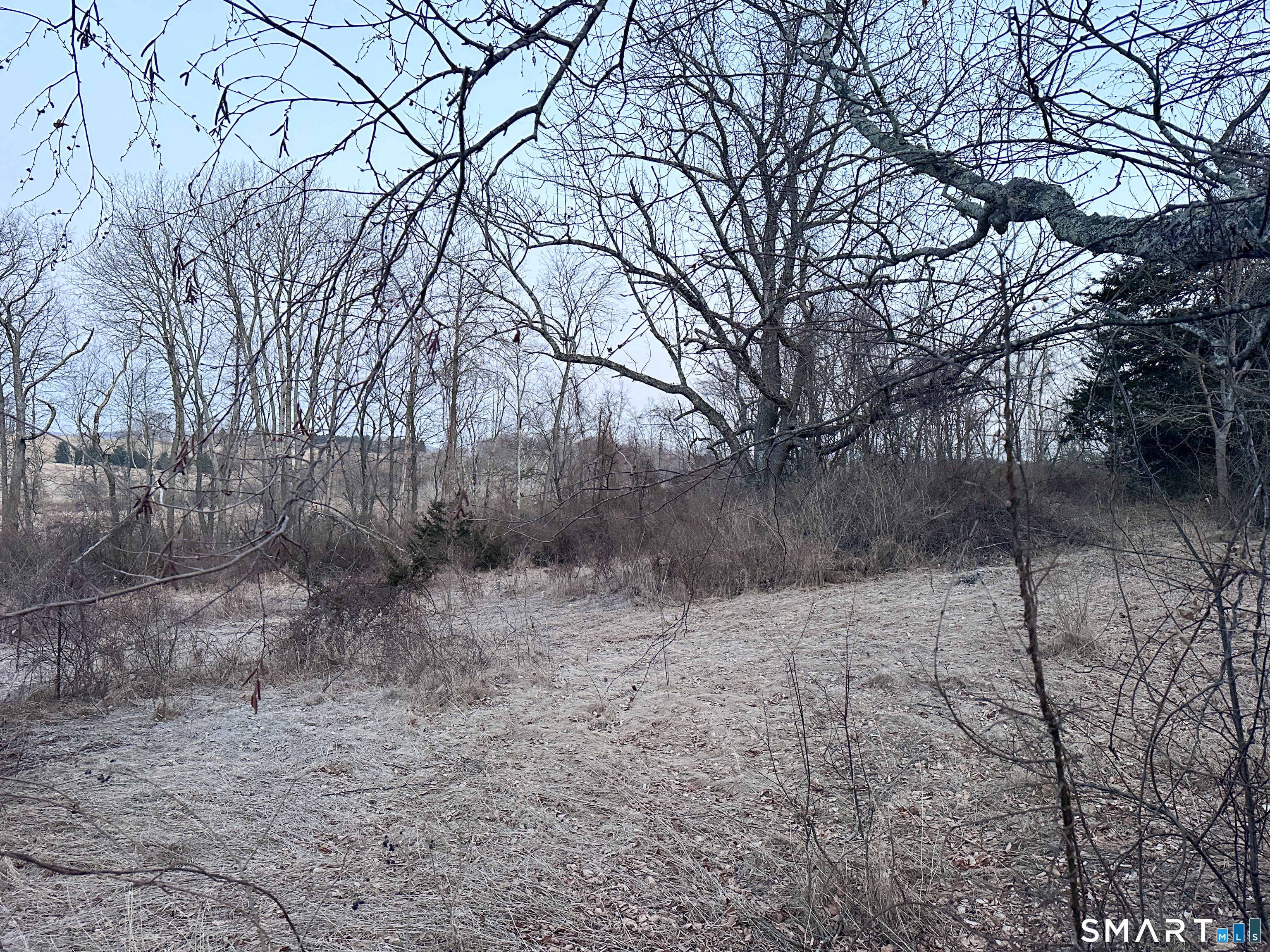 Millerton Road Sharon, CT 06069 - Photo 6 of 17 a view of a dry yard with trees